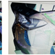 Image for article titled GM's Lawyers Just Inadvertently Confirmed Those Mid-Engined Corvette Designs Are Real